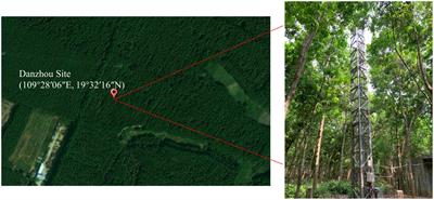 Attribution analysis of water use efficiency in tropical rubber plantations during drought-monsoon season transition
